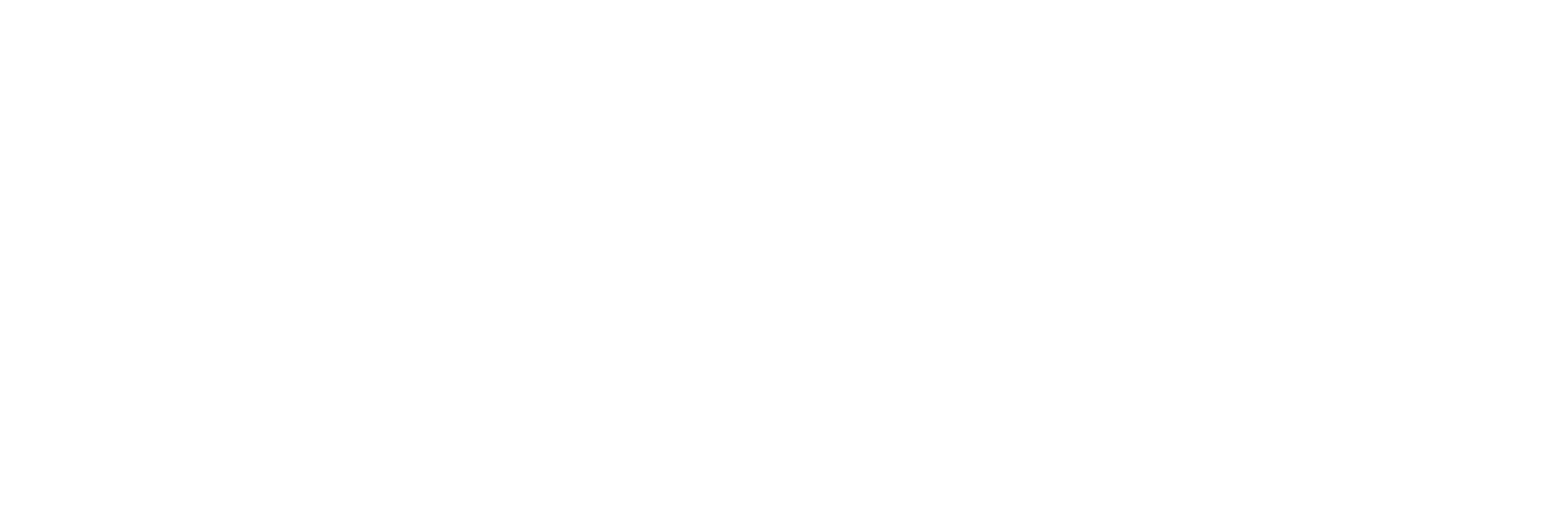 WhiteMatter Logo with Tagline